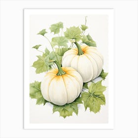 White Pumpkin Watercolour Illustration 4 Art Print