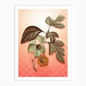 Paper Mulberry Flower Vintage Botanical in Peach Fuzz Tartan Plaid Pattern n.0262 Art Print