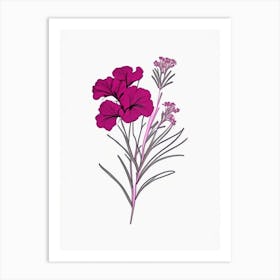 Sweet William Floral Minimal Line Drawing 2 Flower Art Print