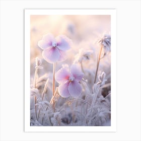 Frosty Botanical Viola 3 Art Print