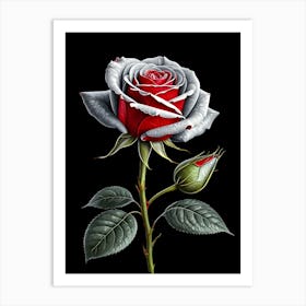 Roses On Black Background Art Print