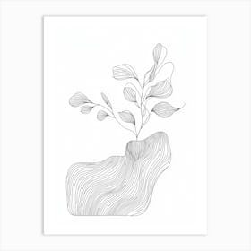 Plant In A Vase Art Print