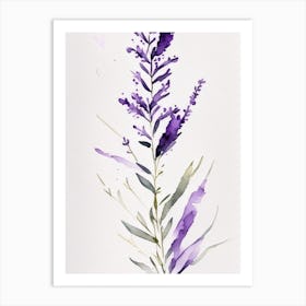 Violet Herb Minimalist Watercolour 3 Art Print