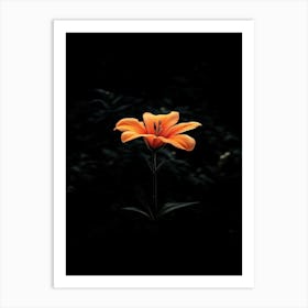 Orange Lily 6 Art Print