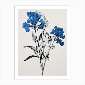 Blue Botanical Kangaroo Paw 3 Art Print