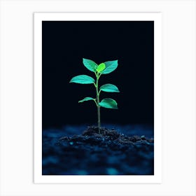 Young Plant Sprouting From The Ground 2 Art Print