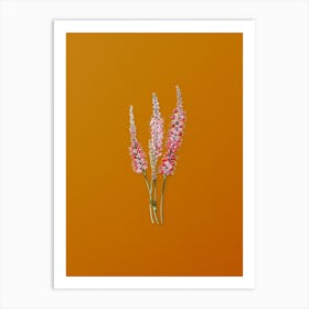 Vintage Polygonum Flower Botanical on Sunset Orange n.0966 Art Print