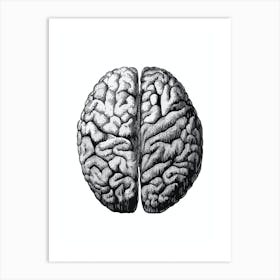 Black and white Brain Art Print