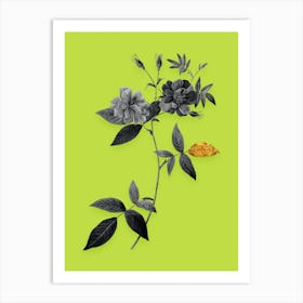 Vintage Hudson Rosehip Black and White Gold Leaf Floral Art on Chartreuse n.0234 Art Print