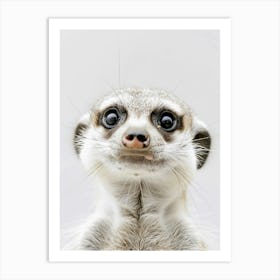 Meerkat Art Print