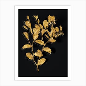 Vintage Andromeda Axillaris Bloom Botanical in Gold on Black n.0499 Art Print