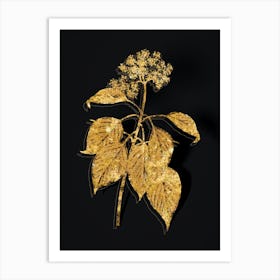 Vintage Pagoda Dogwood Botanical in Gold on Black n.0611 Art Print