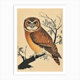 Brown Fish Owl Vintage Illustration 3 Art Print