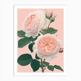 English Roses Painting Entwined 3 Art Print