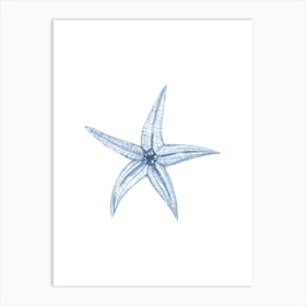 Starfish 4 Art Print