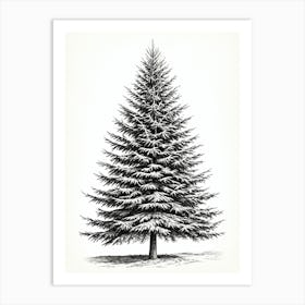 Fir Tree Pencil Sketch Ultra Detailed 6 Art Print