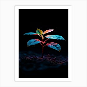 Plant Growing In The Dark 9 Art Print