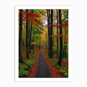 Autumn Forest Path Art Print