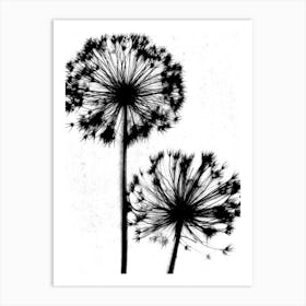 White black Dandelion Art Print