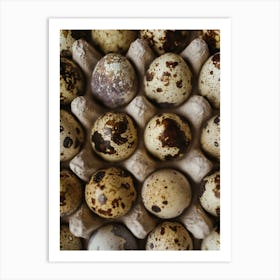 Quail Eggs 10 Art Print