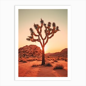  Photograph Of A Joshua Tree At Dawn In Desert 4 Art Print
