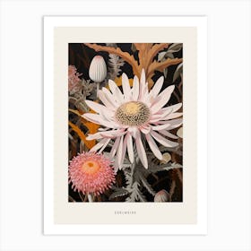 Flower Illustration Edelweiss 1 Poster Art Print