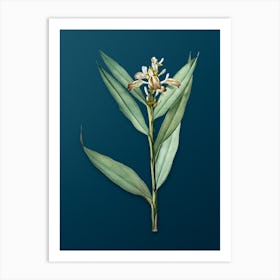 Vintage Globba Erecta Botanical Art on Teal Blue n.0738 Art Print