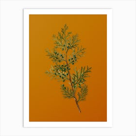 Vintage Virginian Juniper Botanical on Sunset Orange n.0168 Art Print