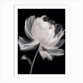 Floral Art 0014 X Ray 0008 X Ray Blumen 0020 Bp6586 Minimalist Soft Bright X Ray Scandinavian Minimalist P 883514ec C3 Art Print