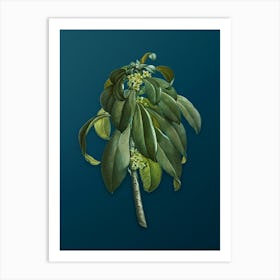 Vintage Spurge Laurel Weeds Botanical Art on Teal Blue n.0216 Art Print