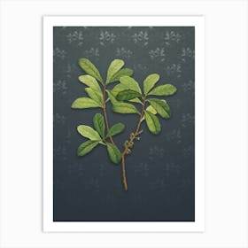 Vintage Northern Bayberry Botanical on Slate Gray Pattern Art Print