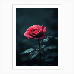 Dark Rose 112 Art Print