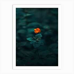 Single Flower In The Dark 51 Art Print