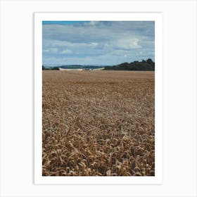 Wheat Field Art Print