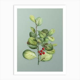 Vintage Lingonberry Evergreen Shrub Botanical Art on Mint Green n.0926 Art Print
