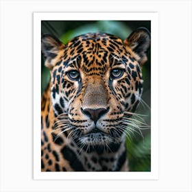 Jaguar 4 Art Print