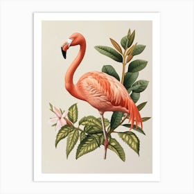 American Flamingo And Croton Plants Minimalist Illustration 3 Art Print