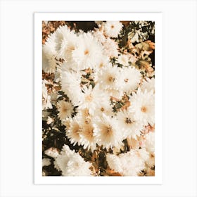 White Flower Bush Art Print