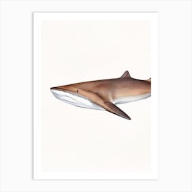 Epaulette Shark 3 Watercolour Art Print