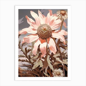 Floral Illustration Edelweiss 2 Art Print