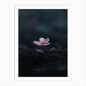 Pink Flower 13 Art Print