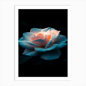 Rose In The Dark 5 Art Print