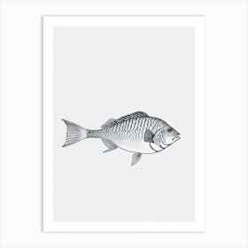 John Dory Black & White Drawing Art Print