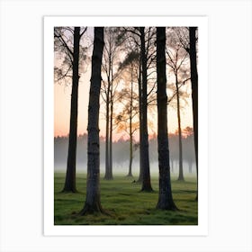 Sunrise In The Forest Art Print