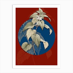 Vintage Botanical White Dead Nettle Plant on Circle Blue on Red n.0247 Art Print