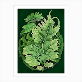 Water Fern 1 Vintage Botanical Poster Art Print