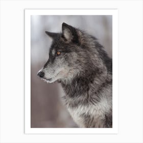 Black Wolf Profile Art Print