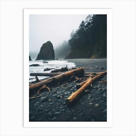 Beach Logs On A Foggy Day Art Print