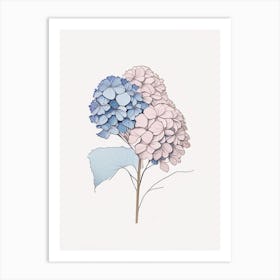 Hydrangea Floral Minimal Line Drawing 1 Flower Art Print