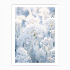 Frosty Botanical Queen Annes Lace 5 Art Print